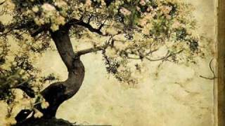 The Perishers Come Out Of The Shade