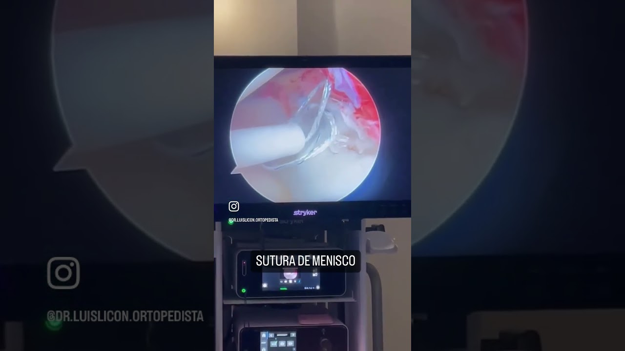 Luis Daniel Licon Sepulveda-24