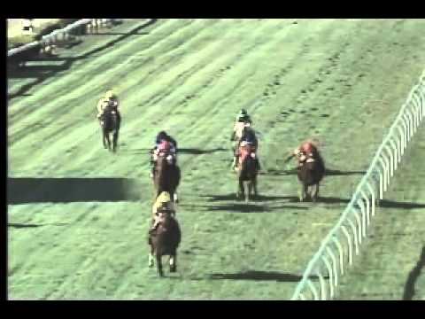 Pimlico 05/09/13 Race 9