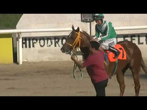 CARRERAS SINT 220929 c08 - 1° AFRICANUS