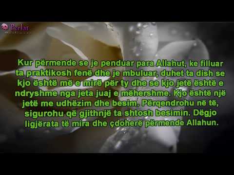 Këshillë për gruan që sapo është udhëzuar - Feuzan