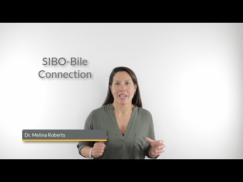 Bile-SIBO Connection