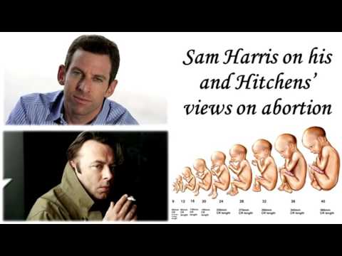 Abortion - Ben Shapiro, Dave Rubin, Michael Shermer, Sam Harris