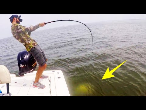 WE THOUGHT IT WAS A FISH!! (DANGEROUS ANIMAL)