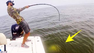WE THOUGHT IT WAS A FISH!! (DANGEROUS ANIMAL)