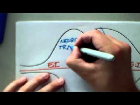 MC-KELVIE B1 Nerves and Reflex Arc