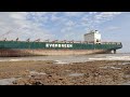 EVERGREEN SHIP Cutting