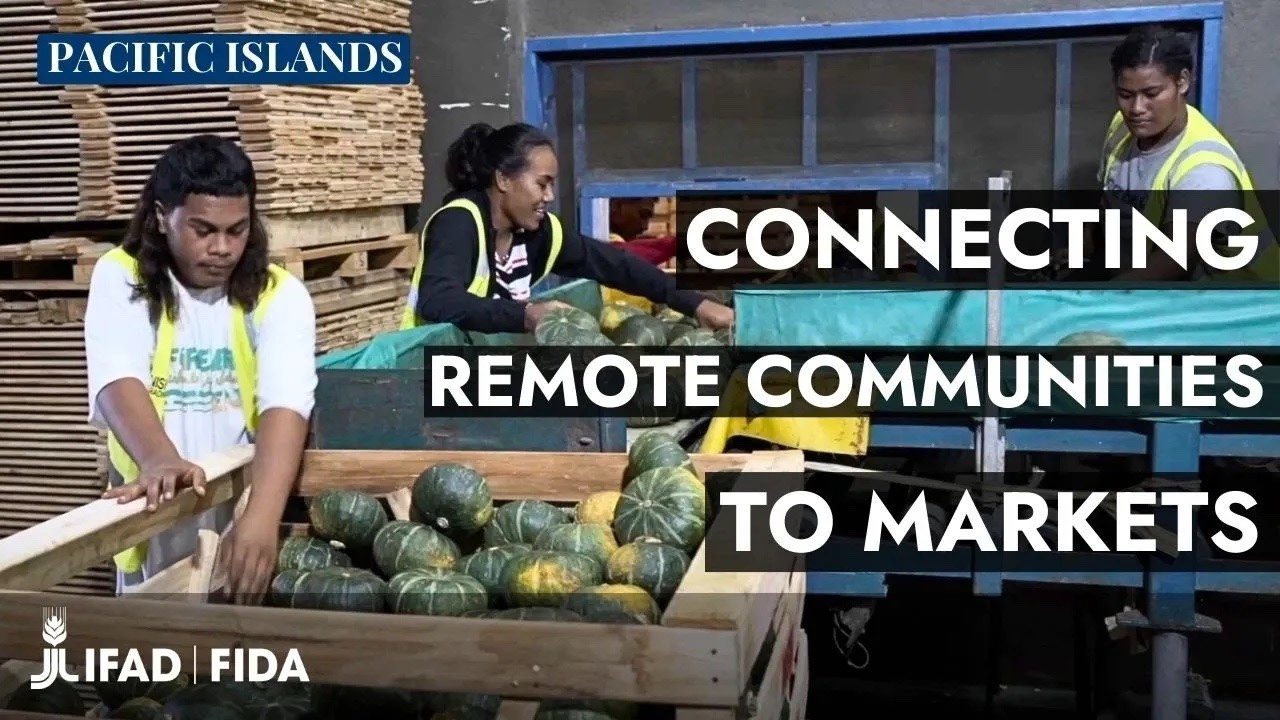IFAD in the Pacific Islands: Supporting remote communities to connect to global markets