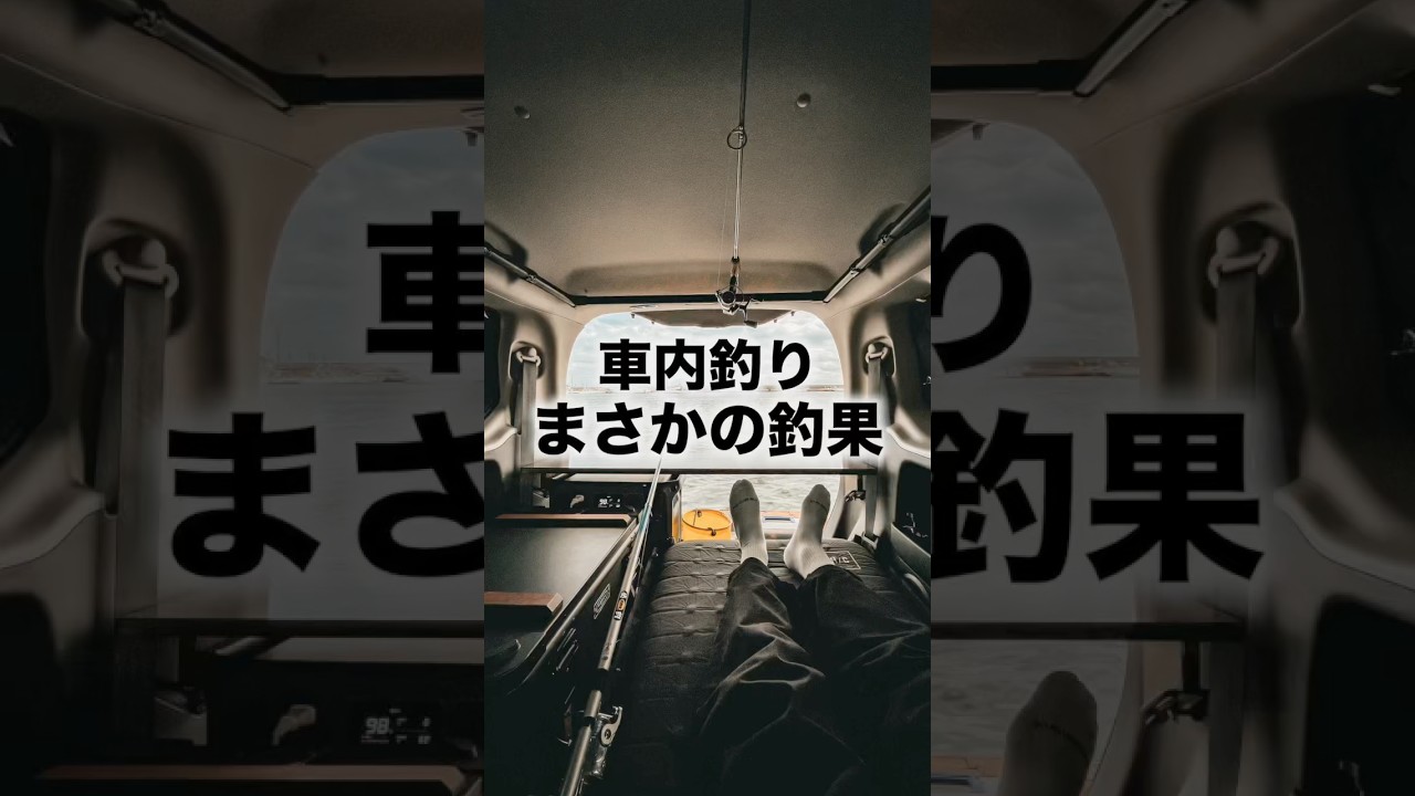 車内で釣れる？酒好き専用の車で車中泊した夜#車中泊 #釣り