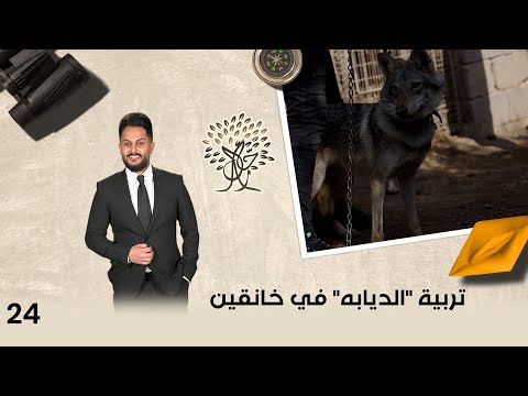 فيديو | تربية "الديابه" في خانقين - رحال م٦ - الحلقة ٢٤