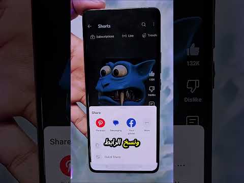 ماذا يحدث حقًا عندما تدوس على عنكبوت؟ 😱🕷️