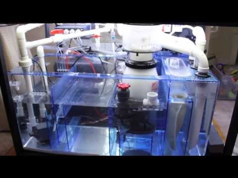 MJ's Reef Tank Plumbing