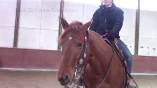 Walk to Canter Transitions (Hannah and Daisy)