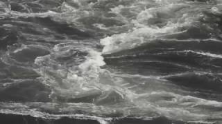 Chompy's Paradise - Badbadnotgood