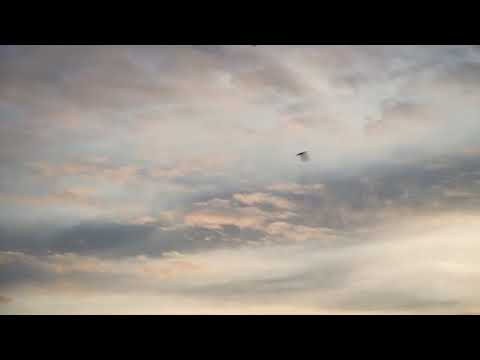 Testemunho de Arrebatamento da Irmã Adelaida de Carrillo