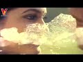 GOPAL RAO GARI ABBAYI 1 Video Songs