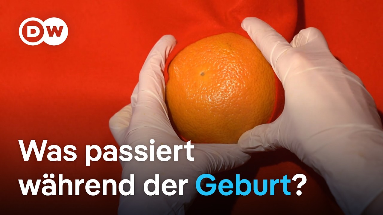 Vaginale Geburt erklärt: Der sicherste Weg für Mutter & Kind | Sex & the Body 15