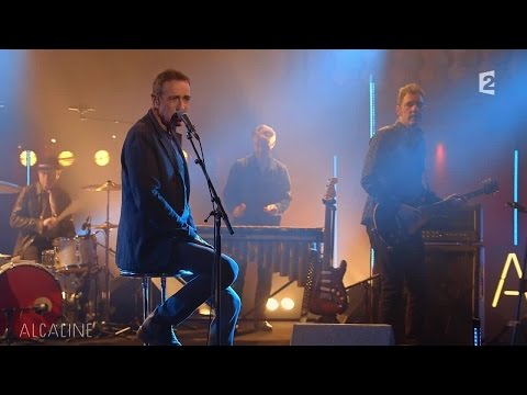 Alcaline, le Mag : Alain Chamfort - Deux Poignards Bleus