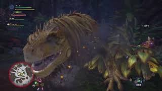 【MHW】関西人ハンター♀、狩りに行く！Part5-2