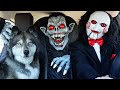 Vampire Surprises Jigsaw & Puppy with Car Ride Chase! - Kakoa's World Vampire Surprises Jigsaw & Puppy with Car Ride Chase!