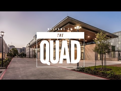 Welcome to The Quad