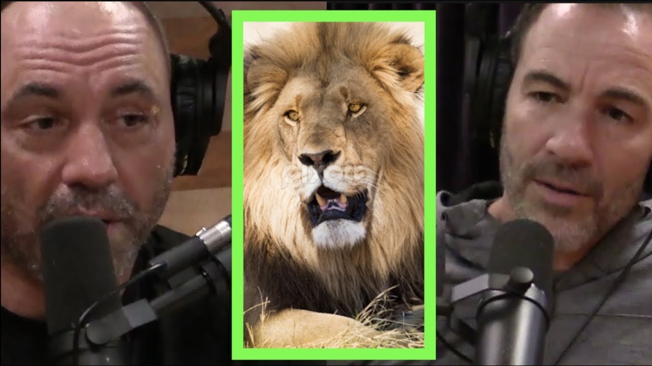 Rogan & Callen Talk Africa, Mosquitoes, and Scary Animals