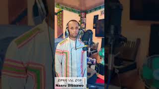 #habesha ድምፃዊ ነስሩ ዲባዎ በአዲስ የሀላቢኛ ዜማ ብቅ ብሏል! ተጋበዙ!
