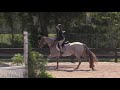 Mr Snuffleupagus Sully Children S Pony 2019