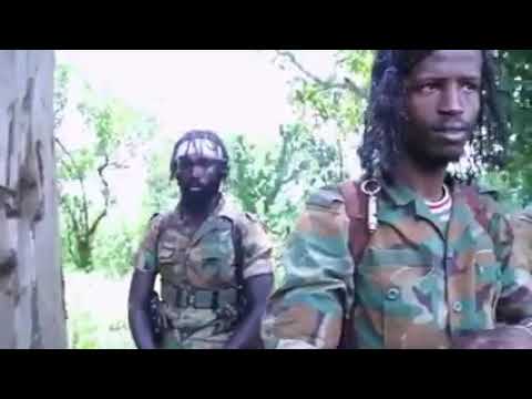 Umrii Dargaggummaa Jaal Mo'ii Boon Tufaa