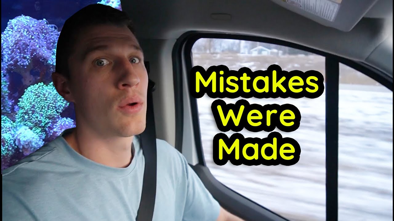 Moving a Reef Tank in Winter: What This 180-Mile Transfer Gets Right and Wrong