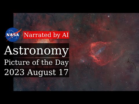 APOD: 2023-08-17 - A Cosmic Zoo in Cepheus (Narrated by Joanna)
