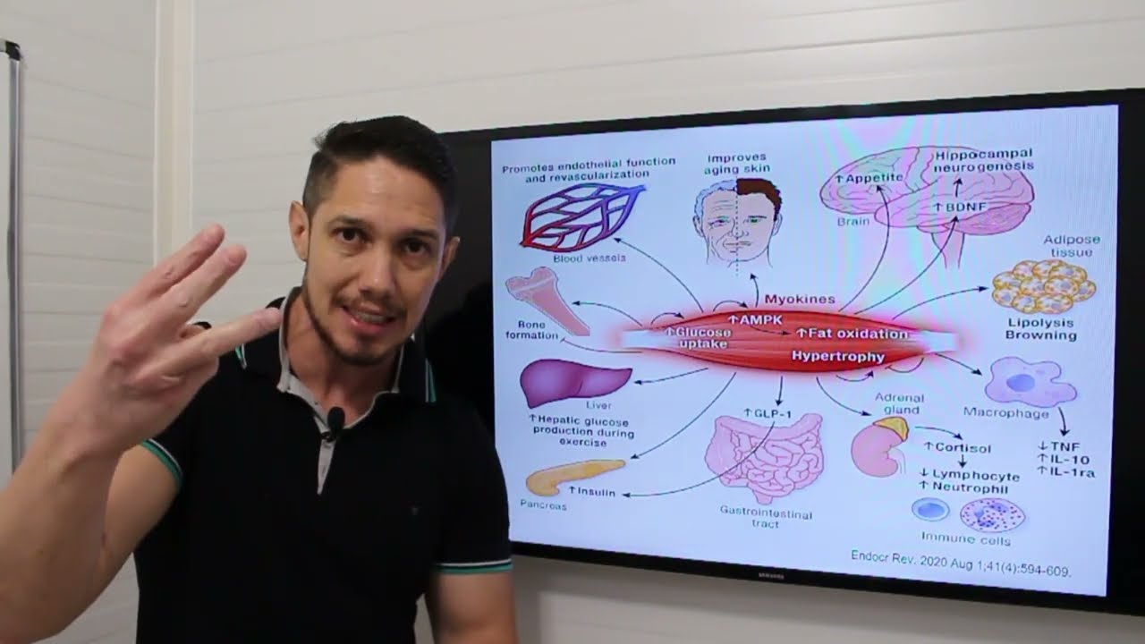 Alterações fisiológicas em idosos - sarcopenia, osteoporose e obesidade