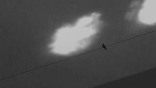 Abul Mogard - Desires Are Reminiscences By Now (edit)