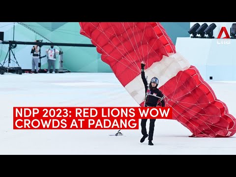 National Day Parade 2023: Red Lions wow crowds at Padang