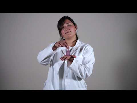 La salute della donna: il ciclo - Italiano