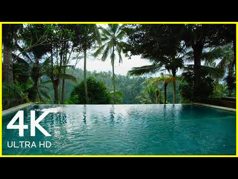 Exotic Palm Trees 4K Video - 8 Hours Tropical Swimming Pool Ambience