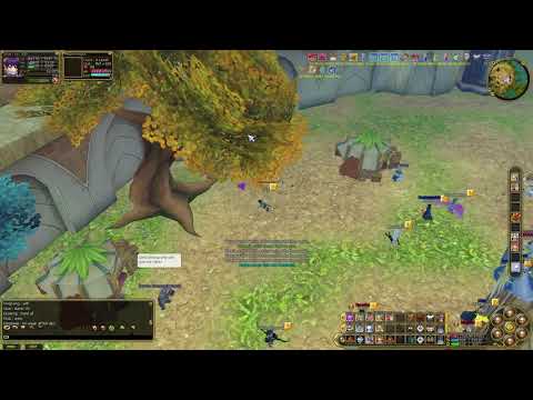 Insanity Flyff Mentalist PvP