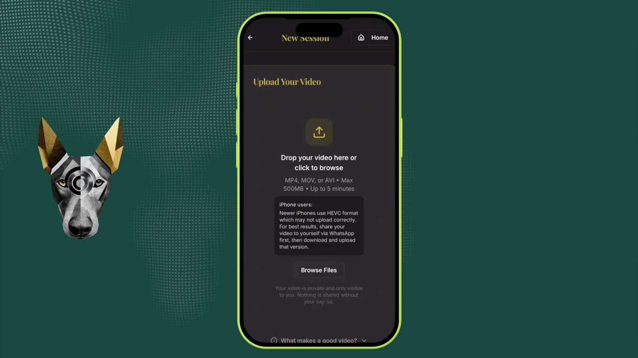 How to Use the 30-Day Training Challenge in MyCanine360 to Sharpen Your Skills