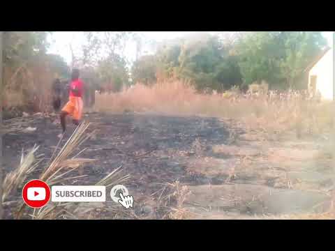 A. MC well official prod "le vole"