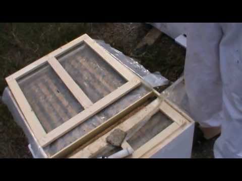 5. Apicultura video - Hranirea cu o singura rama si analiza celor trei familii din Bio Stupi 5/6