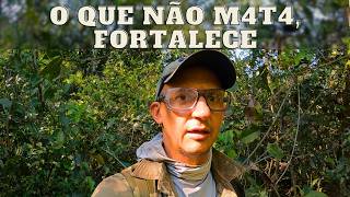 PARECIA IMPOSSÍVEL | JAVALI BRASIL | #repost