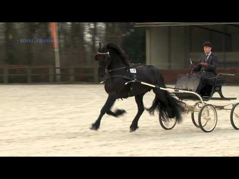 Nane 492 Centraal Onderzoek 2015