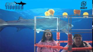 DIA 2 Expo Tiburon155