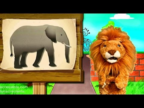 Los niños conocen El Elefante  - Animales del Zoo con Lorenzoo - Videos Educativos para Niños