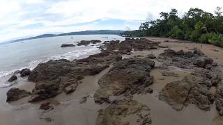 preview picture of video 'Corcovado National Park near Drake Bay, Costa Rica, Full HD'