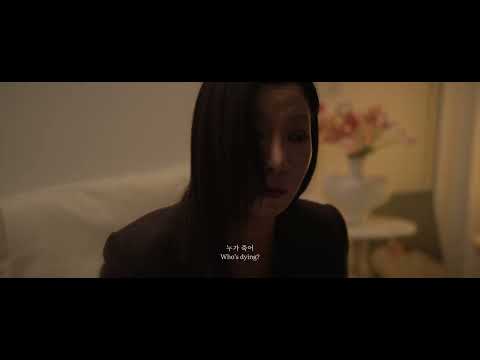 비디오 19