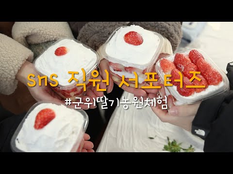 [SNS직원서포터즈] 군위 딸기농원 체험