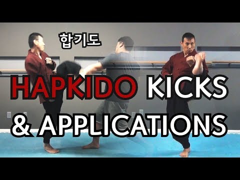11 HAPKIDO Basic Kicks & Applications | Self-Defense Kicking Techniques | TaekwonWoo