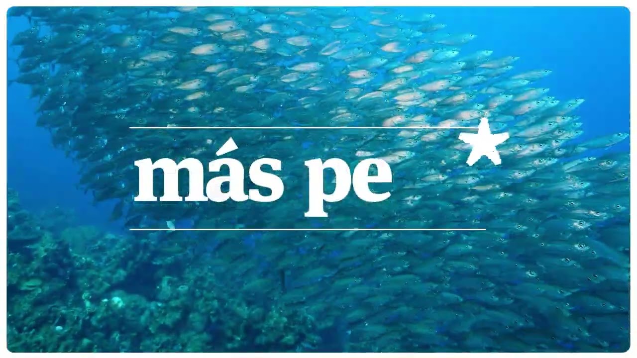 ES: C1: WOD_2025 - Más peces* - MSC España 1:1