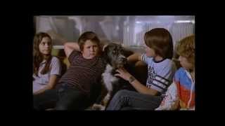 La Guerra de los niños